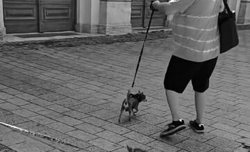 FOTO: Nečakaná smrť Andreja, ktorý pomáhal zvieratám vo Fiľakove