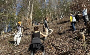 FOTO: Do lesov v Banskej Bystrici pribudne hojný počet nových stromčekov