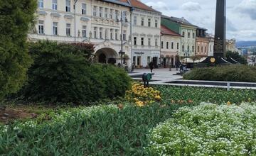 FOTO: Banskú Bystricu spestrí takmer 58-tisíc vysadených kvetov