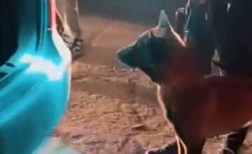 FOTO: Banskobystrická polícia uskutočnila akciu „DOGA“. Zadržala opitých aj zdrogovaných vodičov