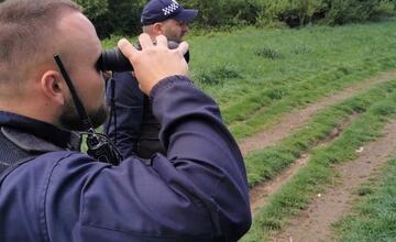FOTO: Medveď hnedý na zvolenskom sídlisku. Situáciu monitorujú odborníci.