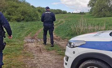 FOTO: Medveď hnedý na zvolenskom sídlisku. Situáciu monitorujú odborníci.