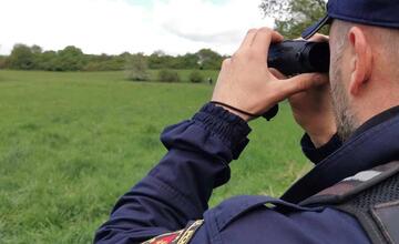 FOTO: Medveď hnedý na zvolenskom sídlisku. Situáciu monitorujú odborníci.
