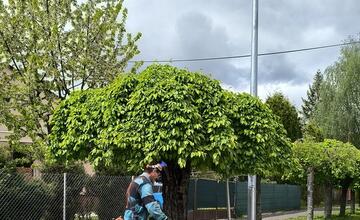 FOTO: Ruku k dielu pri údržbe mesta priložia opäť aj odsúdení