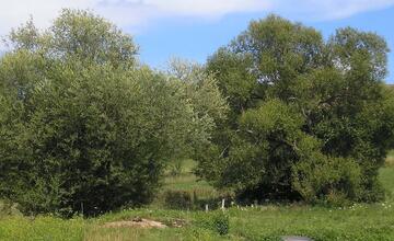 FOTO: Unikátne Mičinské travertíny