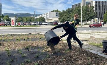 FOTO: Banská Bystrica inovuje svoje kvetinové záhony. Vysadí 58-tisíc trvaliek