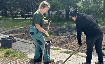 FOTO: Banská Bystrica inovuje svoje kvetinové záhony. Vysadí 58-tisíc trvaliek