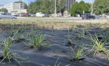 FOTO: Banská Bystrica inovuje svoje kvetinové záhony. Vysadí 58-tisíc trvaliek