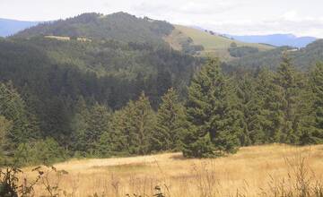 FOTO: Výstup na Zlatý vrch so sprievodcom