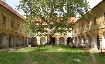 FOTO: FOTO: Nečakané nálezy v kaštieli v Žiari nad Hronom. Pri rekonštrukcii objavili predmety, ktoré doň nepatria