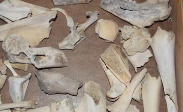 FOTO: FOTO: Nečakané nálezy v kaštieli v Žiari nad Hronom. Pri rekonštrukcii objavili predmety, ktoré doň nepatria