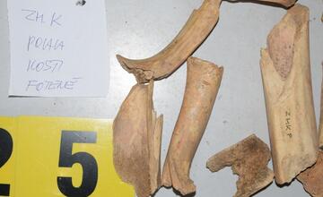 FOTO: FOTO: Nečakané nálezy v kaštieli v Žiari nad Hronom. Pri rekonštrukcii objavili predmety, ktoré doň nepatria