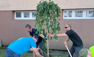 FOTO: Deň životného prostredia pod Urpínom oslávili výsadbou