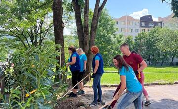 FOTO: Deň životného prostredia pod Urpínom oslávili výsadbou