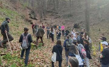 FOTO: Ako prebieha lesná pedagogika? Žiaci vymenili školskú triedu za les