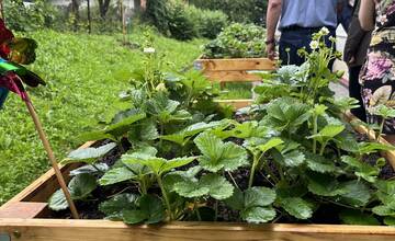 FOTO: Obnova Strediska sociálnych služieb v Banskej Bystrici