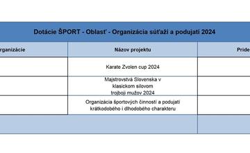 FOTO: Zvolen rozdelil dotácie vo výške takmer 300-tisíc eur. Kto dostal peniaze?