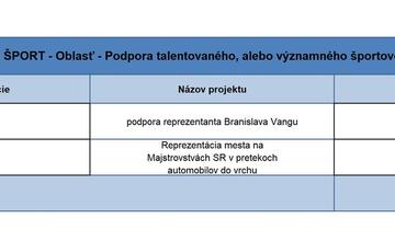FOTO: Zvolen rozdelil dotácie vo výške takmer 300-tisíc eur. Kto dostal peniaze?
