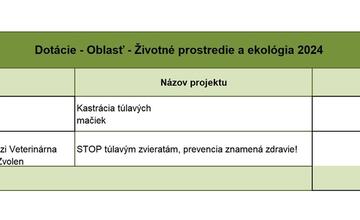 FOTO: Zvolen rozdelil dotácie vo výške takmer 300-tisíc eur. Kto dostal peniaze?