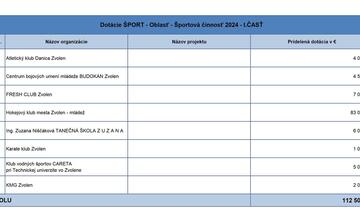 FOTO: Zvolen rozdelil dotácie vo výške takmer 300-tisíc eur. Kto dostal peniaze?