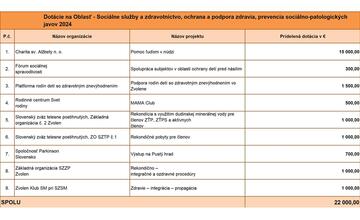 FOTO: Zvolen rozdelil dotácie vo výške takmer 300-tisíc eur. Kto dostal peniaze?
