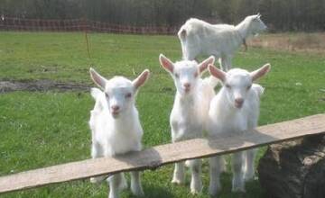 FOTO: Kempové miesta v Banskobystrickom kraji