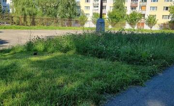 FOTO: Pokosené aj nepokosené priestory v okolí ihriska