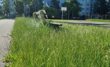 FOTO: Pokosené aj nepokosené priestory v okolí ihriska