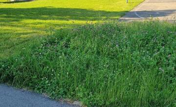 FOTO: Pokosené aj nepokosené priestory v okolí ihriska