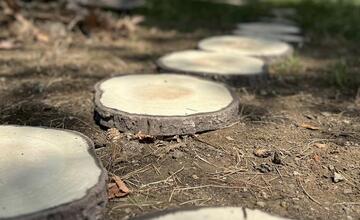 FOTO: Banskobystrickí seniori sa môžu tešiť na novú oddychovú zónu pri Mangólii