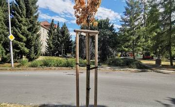 FOTO: Situácia v Banskej Bystrici počas letných dní