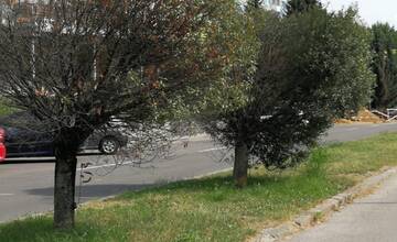 FOTO: Situácia v Banskej Bystrici počas letných dní