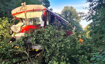 FOTO: Na vlak pri Trnavej Hore spadol strom. Rušňovodič utrpel poranenie hrudníka