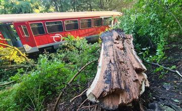 FOTO: Na vlak pri Trnavej Hore spadol strom. Rušňovodič utrpel poranenie hrudníka