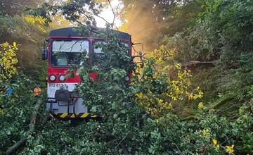FOTO: Na vlak pri Trnavej Hore spadol strom. Rušňovodič utrpel poranenie hrudníka
