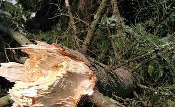 FOTO: Škody spôsobené búrkou 