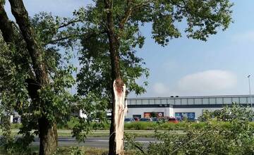 FOTO: Škody spôsobené búrkou 