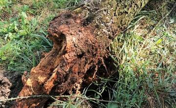 FOTO: Škody spôsobené búrkou 