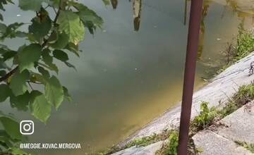 FOTO: Dezolátny stav kúpaliska