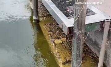 FOTO: Dezolátny stav kúpaliska