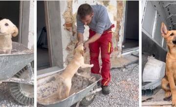 FOTO: Útulok Tuláčik zveľaďuje miesta pre psíkov