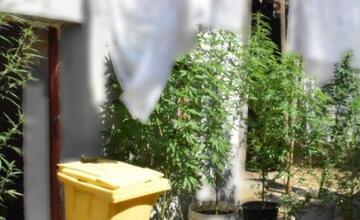 FOTO: Pestovateľ z Poltára nestihol pozbierať úrodu, predbehla ho polícia