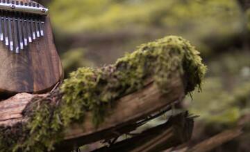 FOTO: Netradičný nástroj - Kalimba