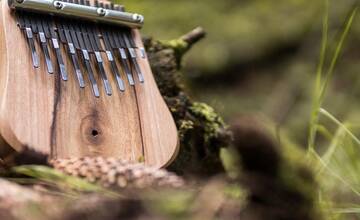 FOTO: Netradičný nástroj - Kalimba