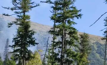 FOTO: Trojdňová záchranná akcia 