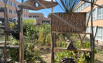 FOTO: Medová sobota v Banskej Bystrici. Mieria sem včelári z celého Slovenska