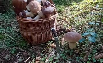 FOTO: Hubári sa v Banskobystrickom kraji tešia z početných zberov