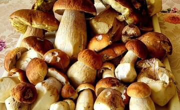 FOTO: Hubári sa v Banskobystrickom kraji tešia z početných zberov