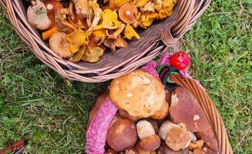 FOTO: Hubári sa v Banskobystrickom kraji tešia z početných zberov