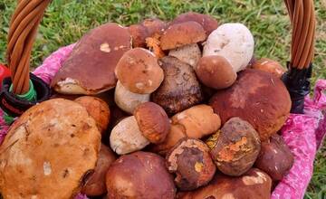 FOTO: Hubári sa v Banskobystrickom kraji tešia z početných zberov